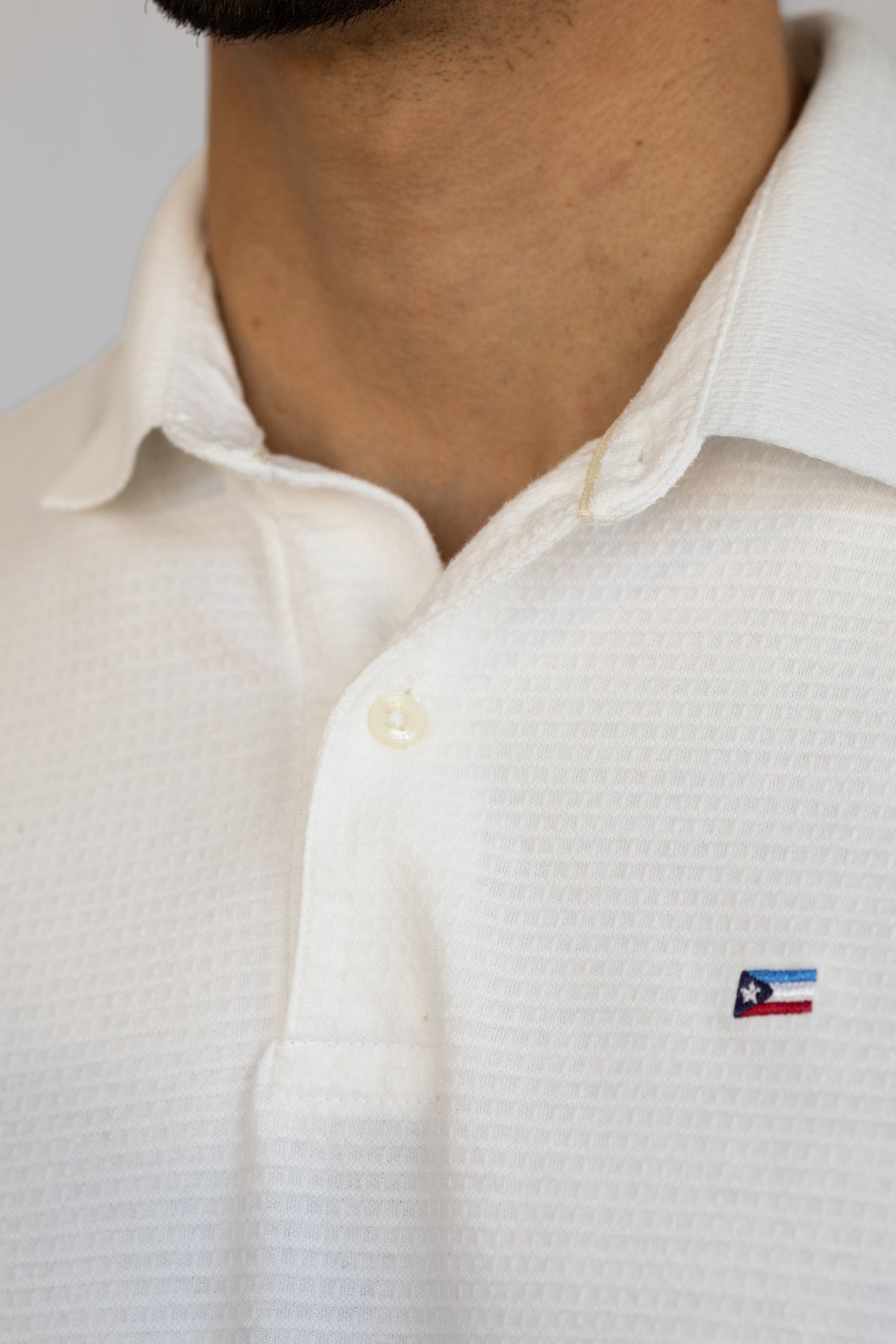Polo Domínio
